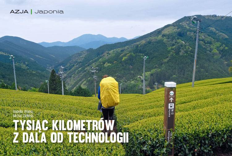 Losowy darmowy artykuł